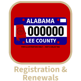 Motor Vehicle Registration Renewals